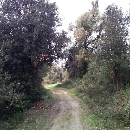 Appartamento In Parco Naturale, Con Accesso Diretto *
