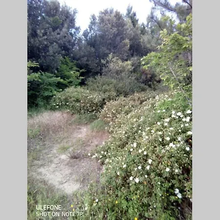 Casa Nel Parco Sulla *