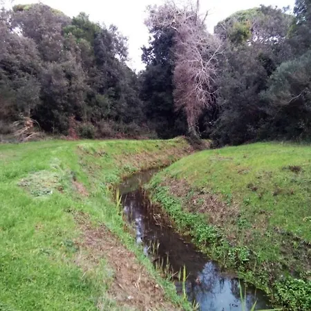 In Parco Naturale, Con Accesso Diretto Appartamento