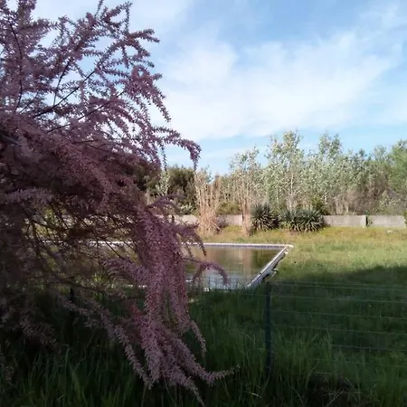 In Parco Naturale, Con Accesso Diretto Pisa