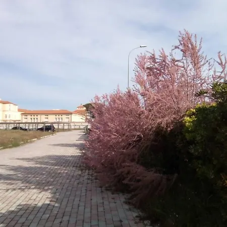 Casa Nel Parco Sulla Apartment